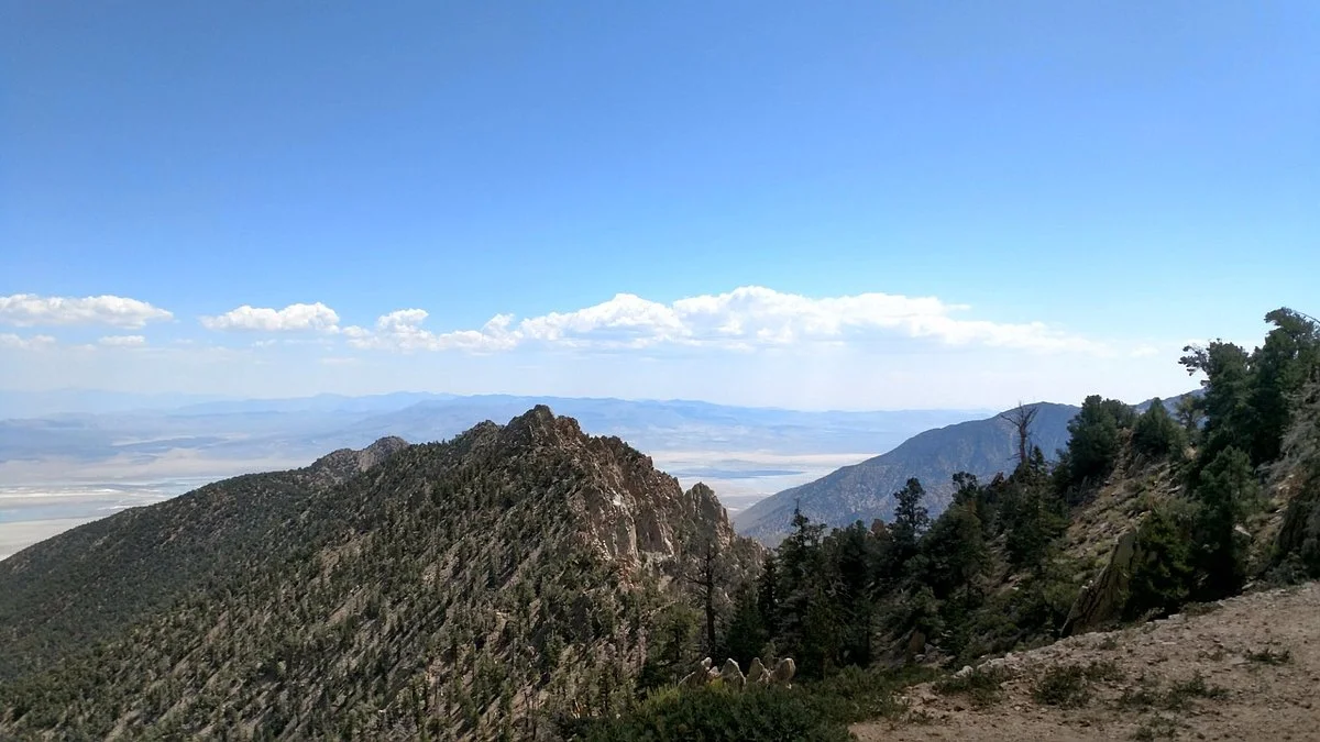 Horseshoe Meadow Trail