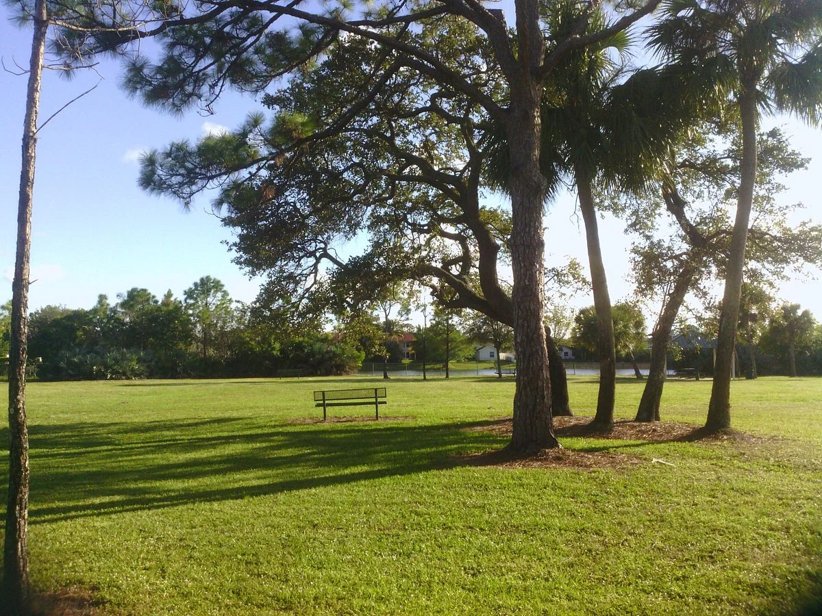 The Heights of Jupiter Park