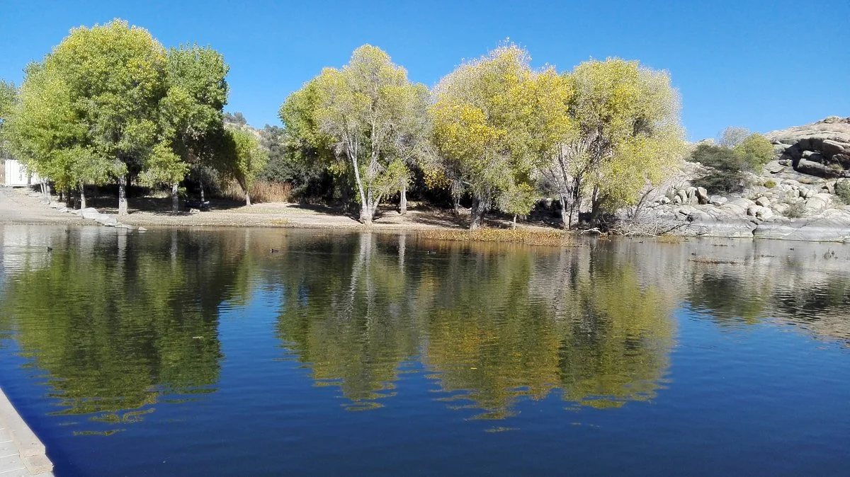 Willow Lake Park