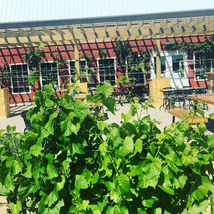 Next Chapter Winery