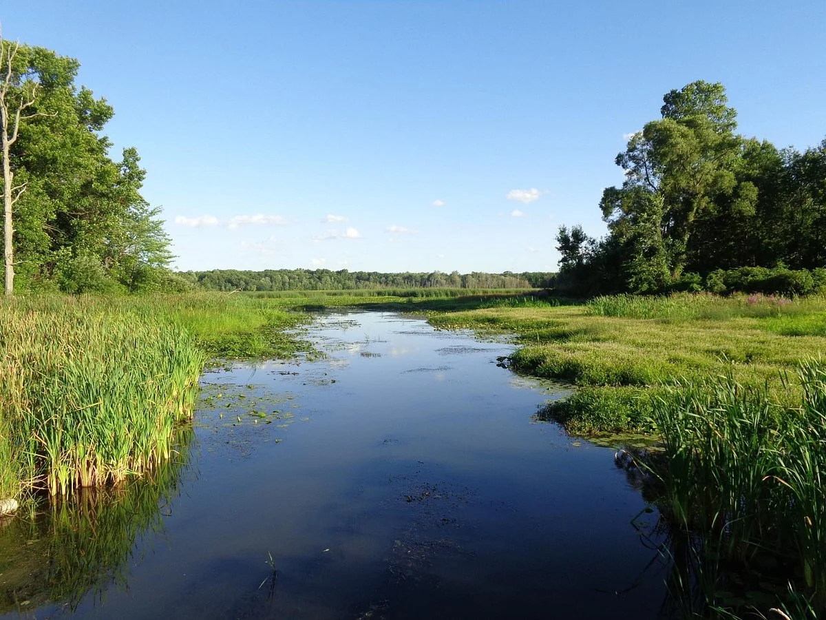 Waterloo-Pinckney Hiking Trail