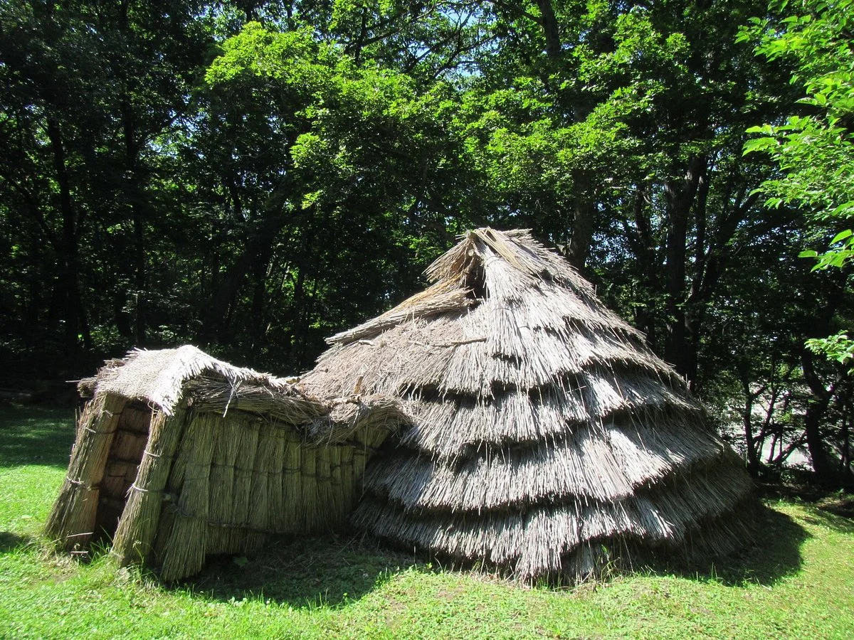 Forest of Tokoro Remains