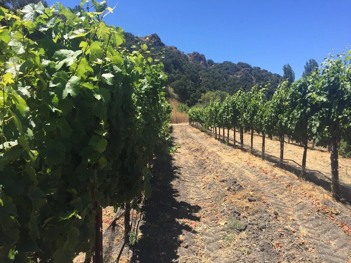 Claiborne & Churchill Winery