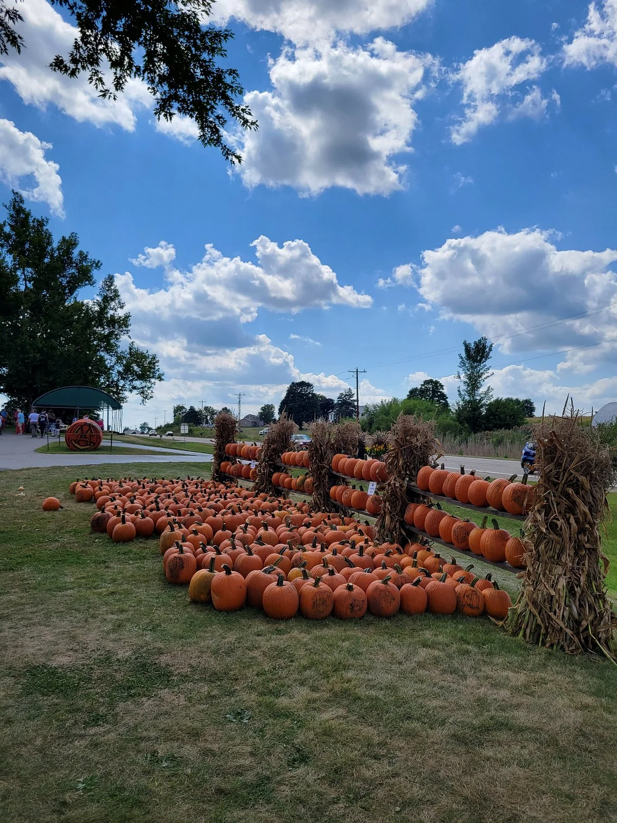 Tanners Orchard
