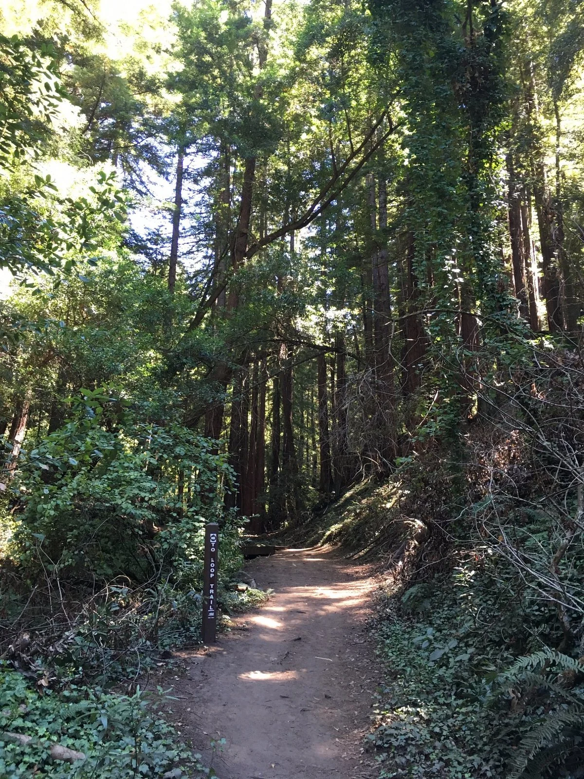 Lodato Park