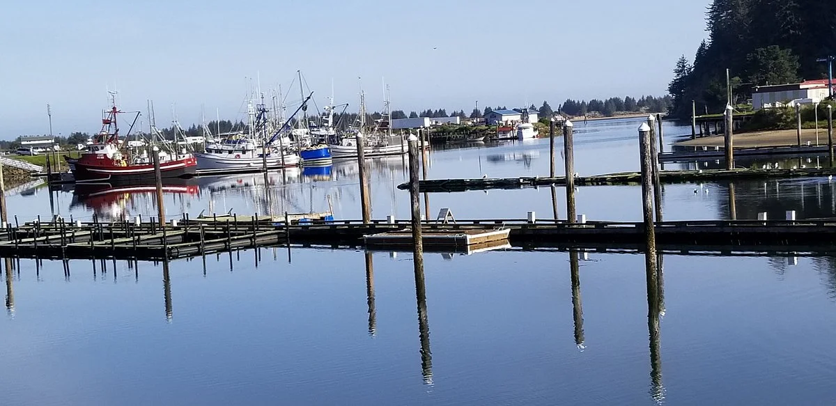 Umpqua Triangle Oyster from Aquaculture