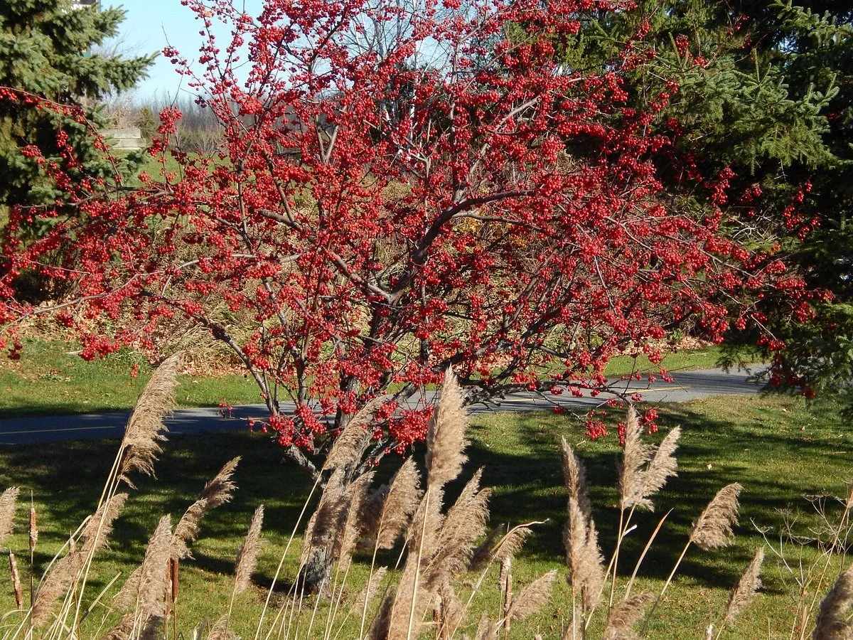 Gray's Creek Conservation Area