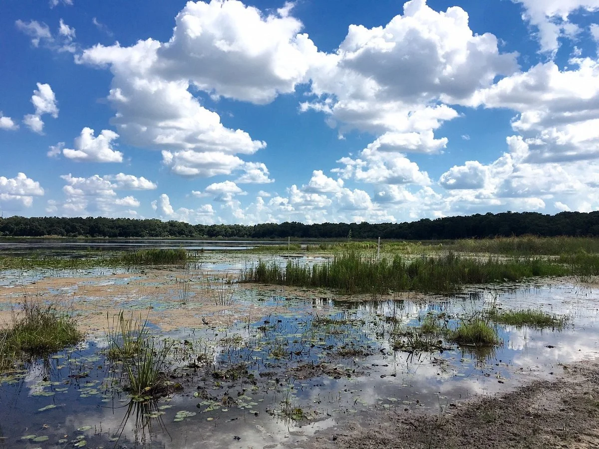 Fort Cooper State Park