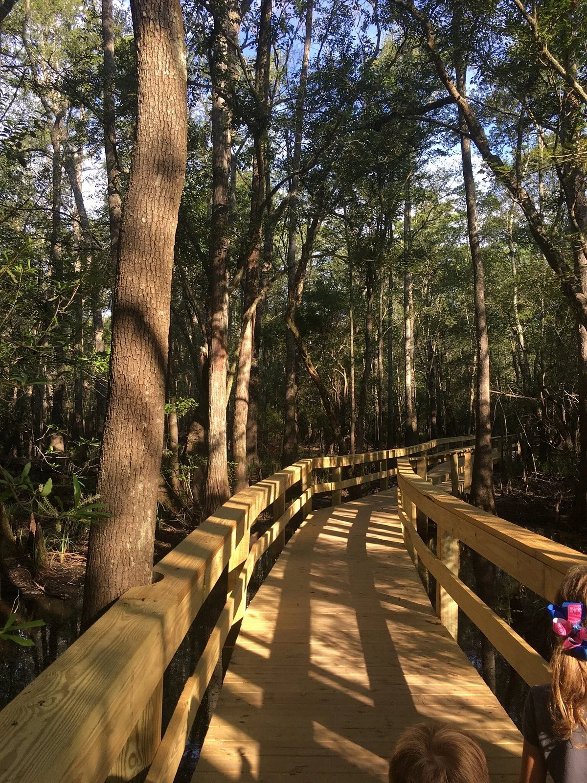 Waccamaw River Park