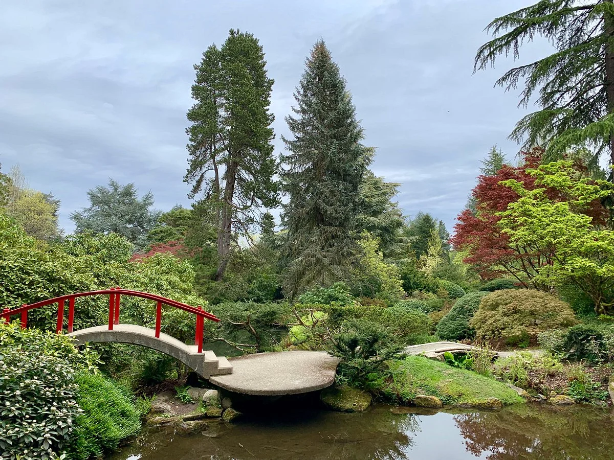 Kubota Garden