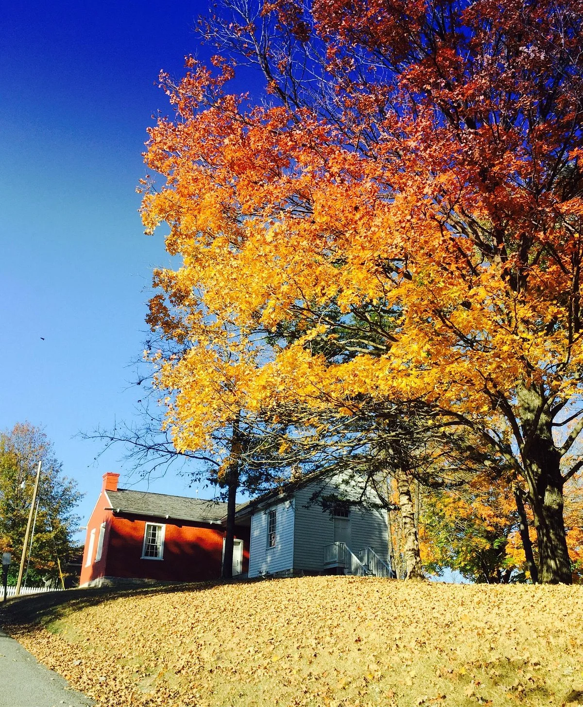 Arrow Rock State Historic Site