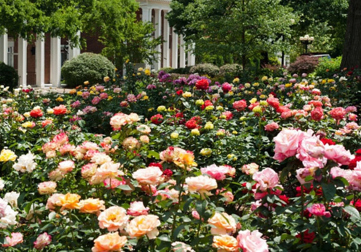 Wrigley Gardens
