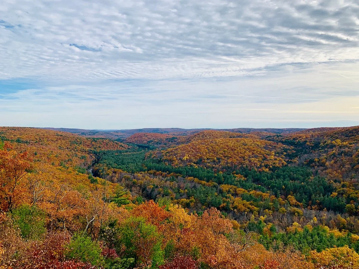 American Legion and Peoples State Forests