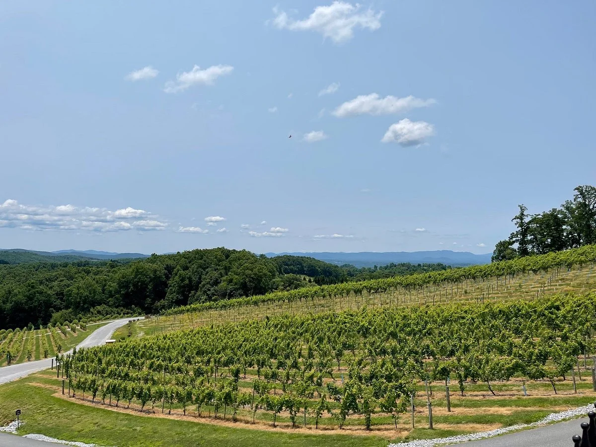 Point Lookout Vineyards
