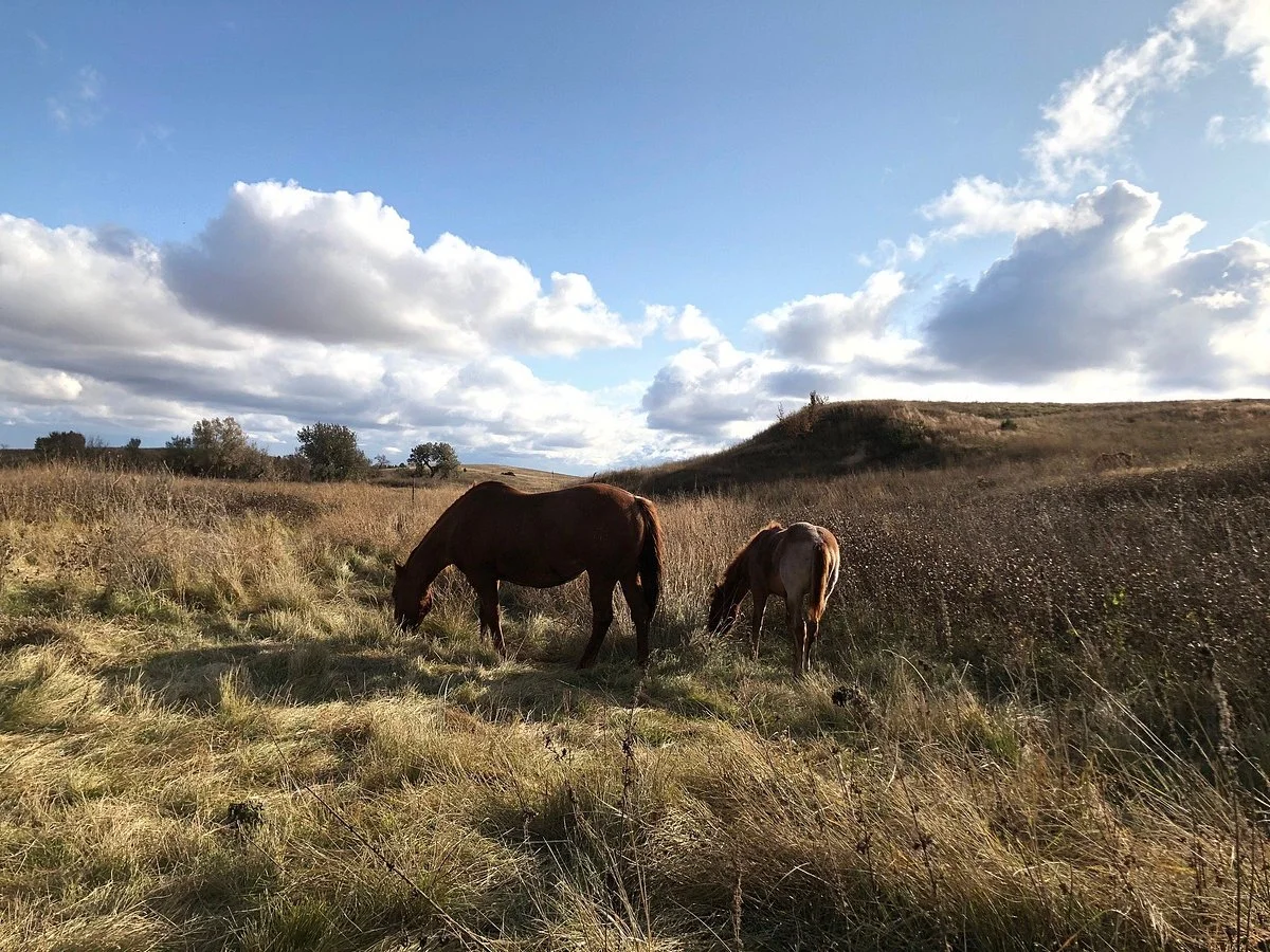 Pine Ridge Indian Reservation