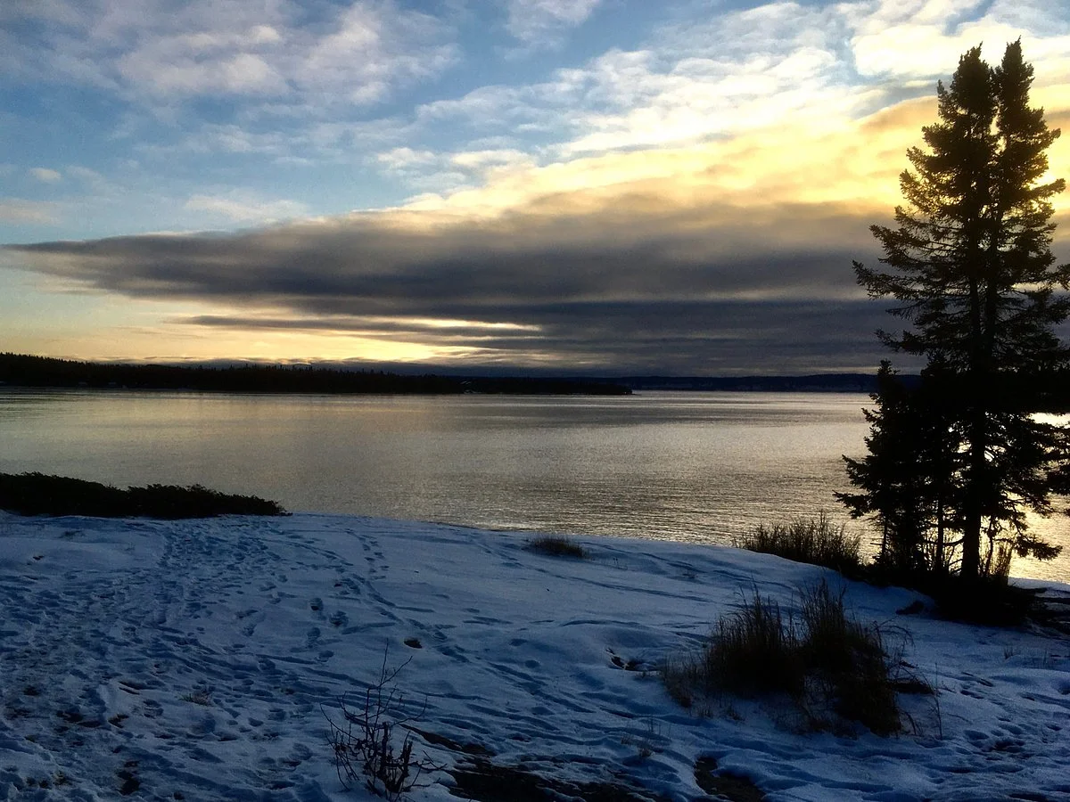 Mackenzie Point Conservation Area