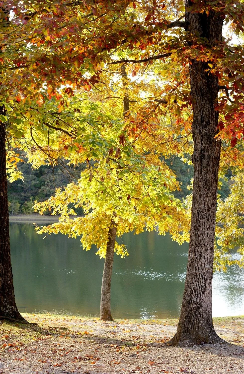 Davidsonville Historic State Park