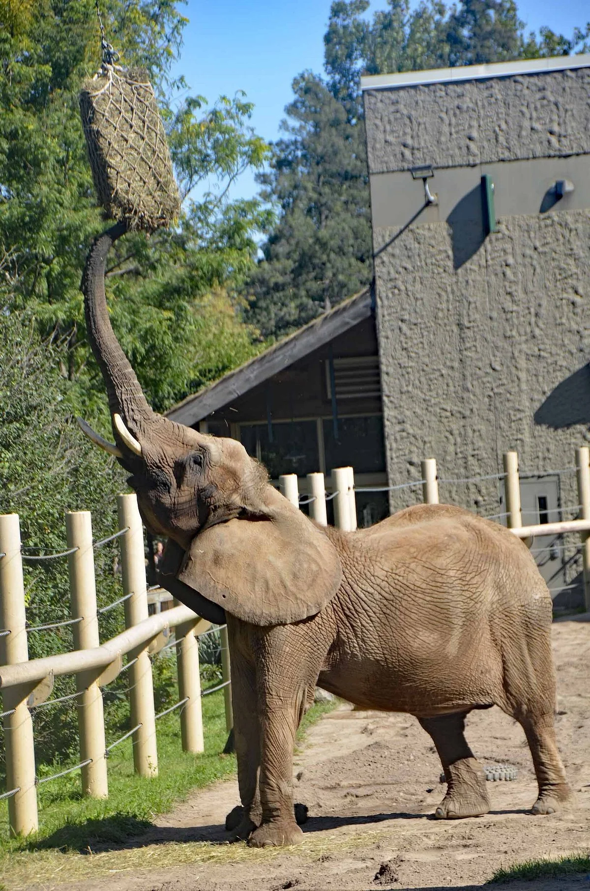 Seneca Park Zoo