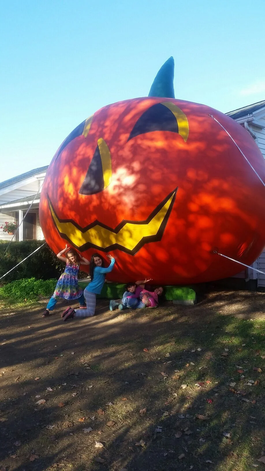 Iron Kettle Farm