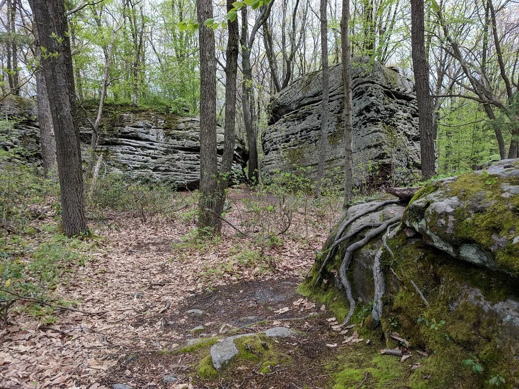 Beartown Rocks