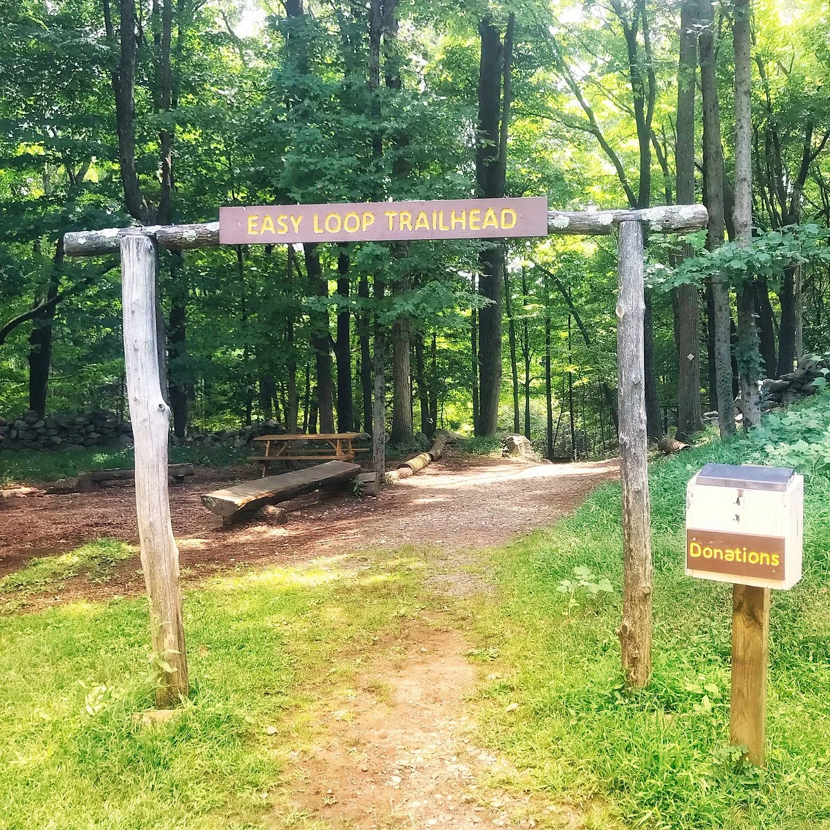 Westmoreland Sanctuary