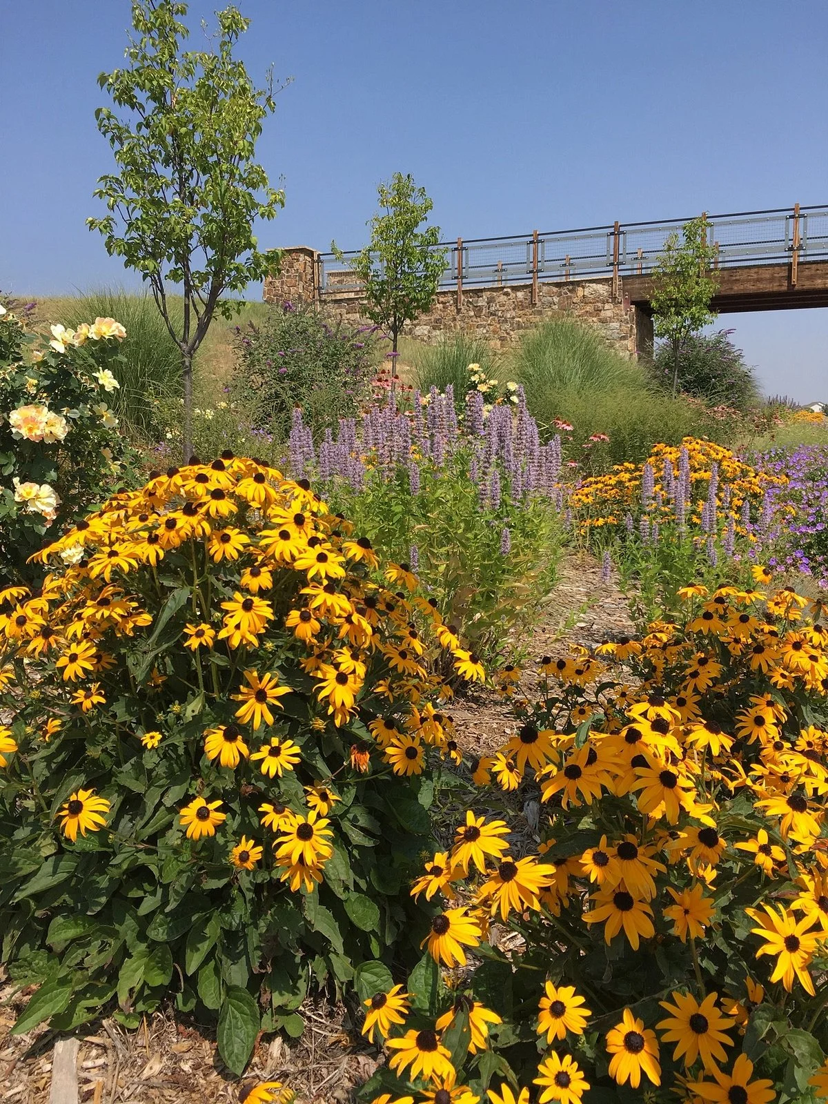 Mehaffey Park