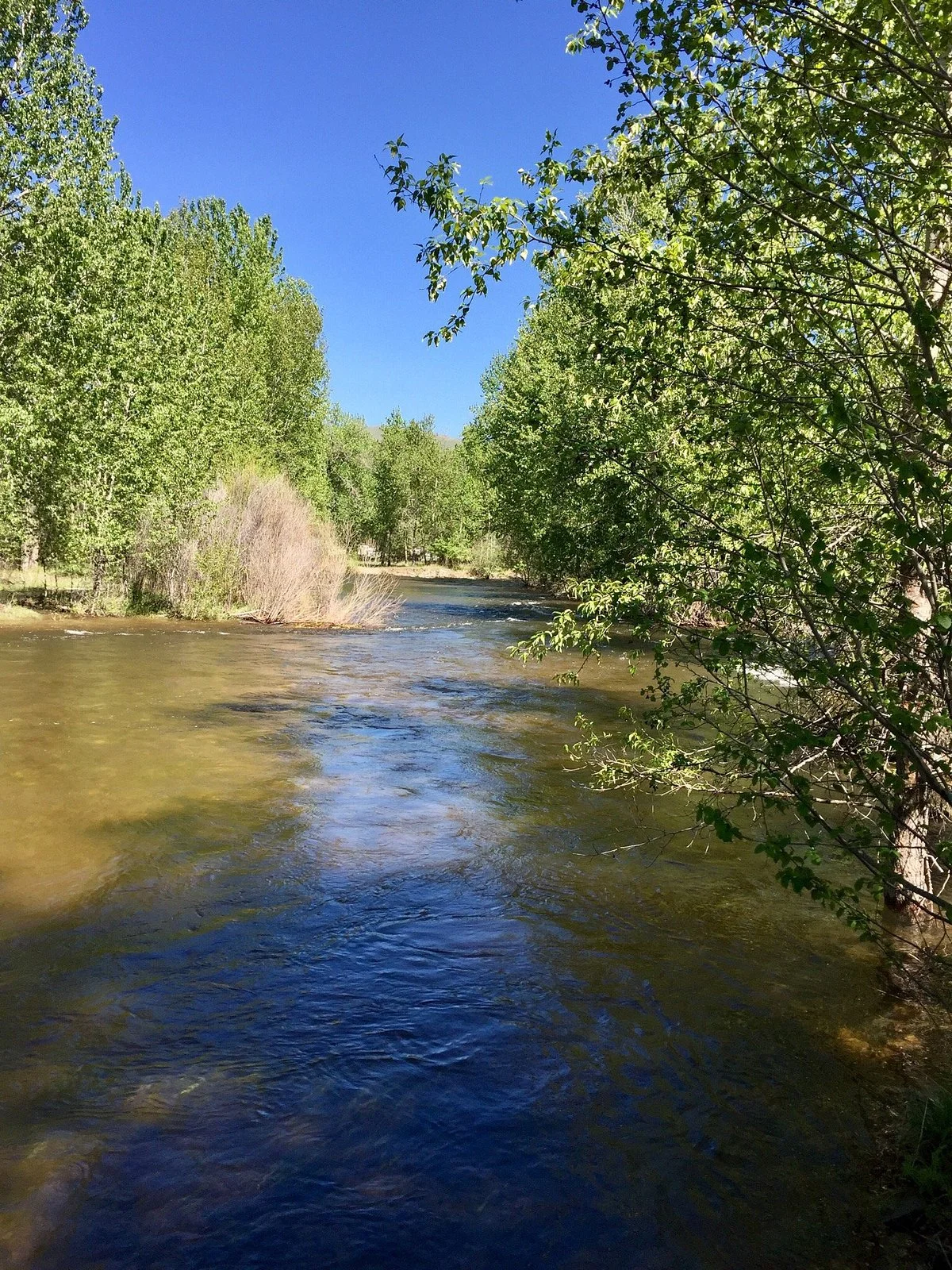 Travelers' Rest State Park