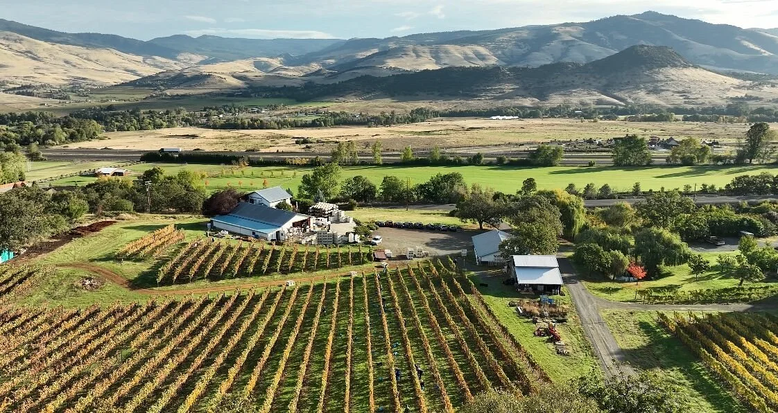 Weisinger Family Winery