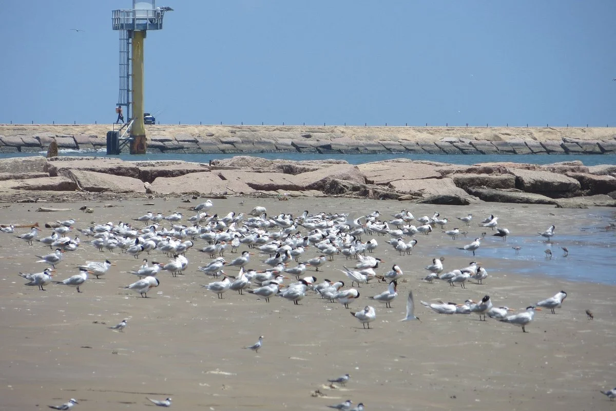 Quintana Beach