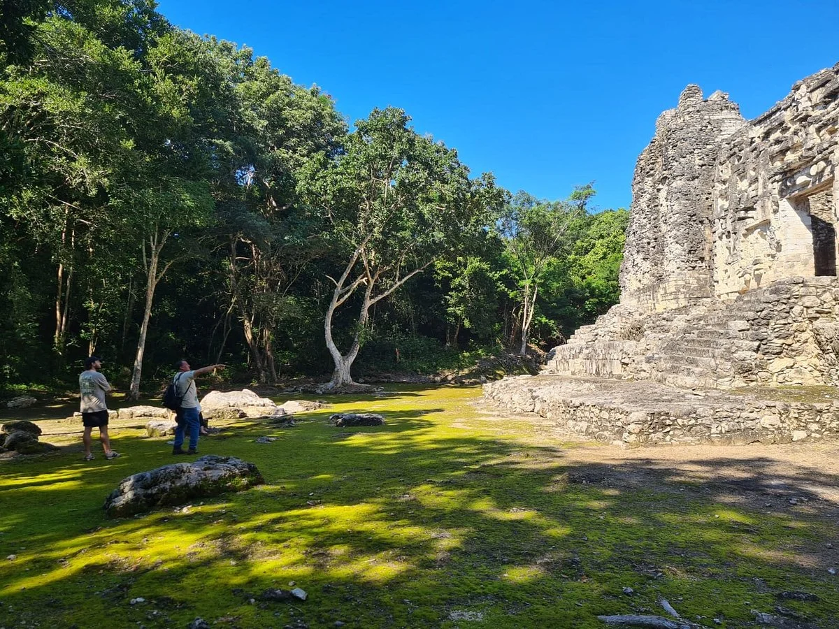 Visit Calakmul