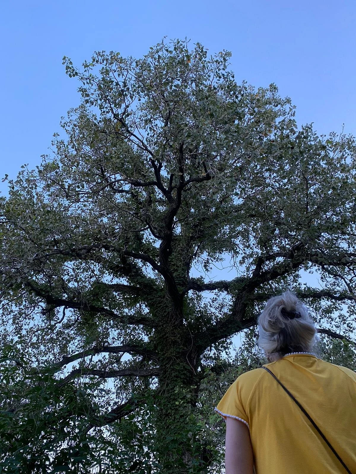 Brazos River Park