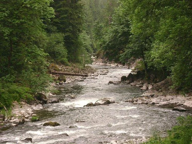 Washougal River