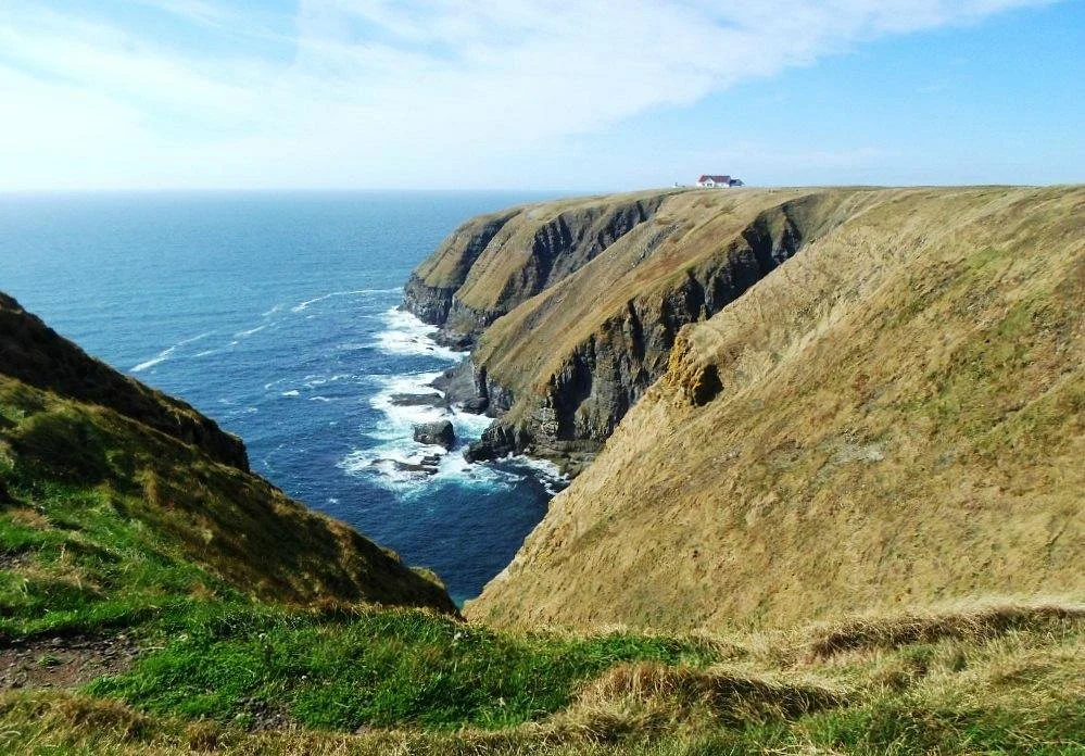 Cape St. Mary's Ecological Reserve