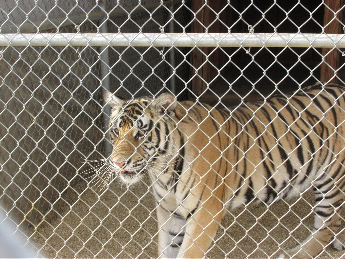 The Barry R. Kirshner Wildlife Foundation
