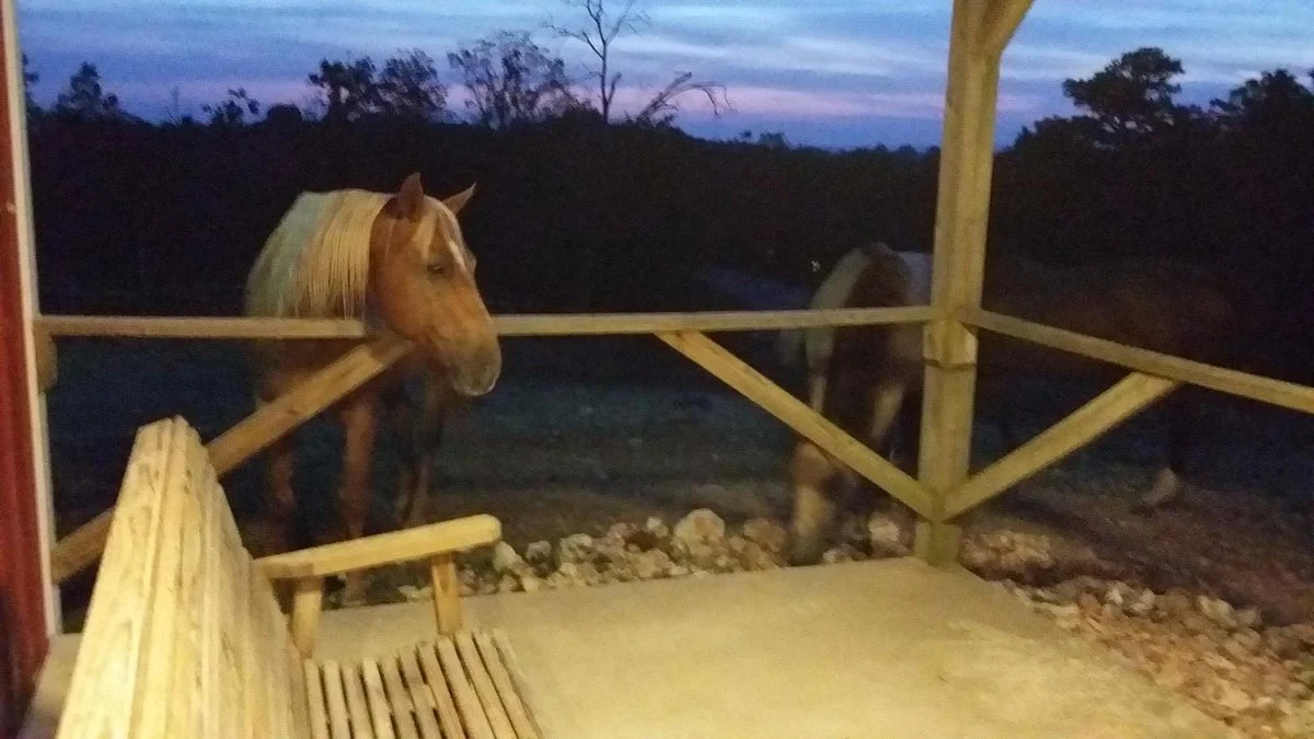 Bear Mountain Riding Stable & Dude Ranch