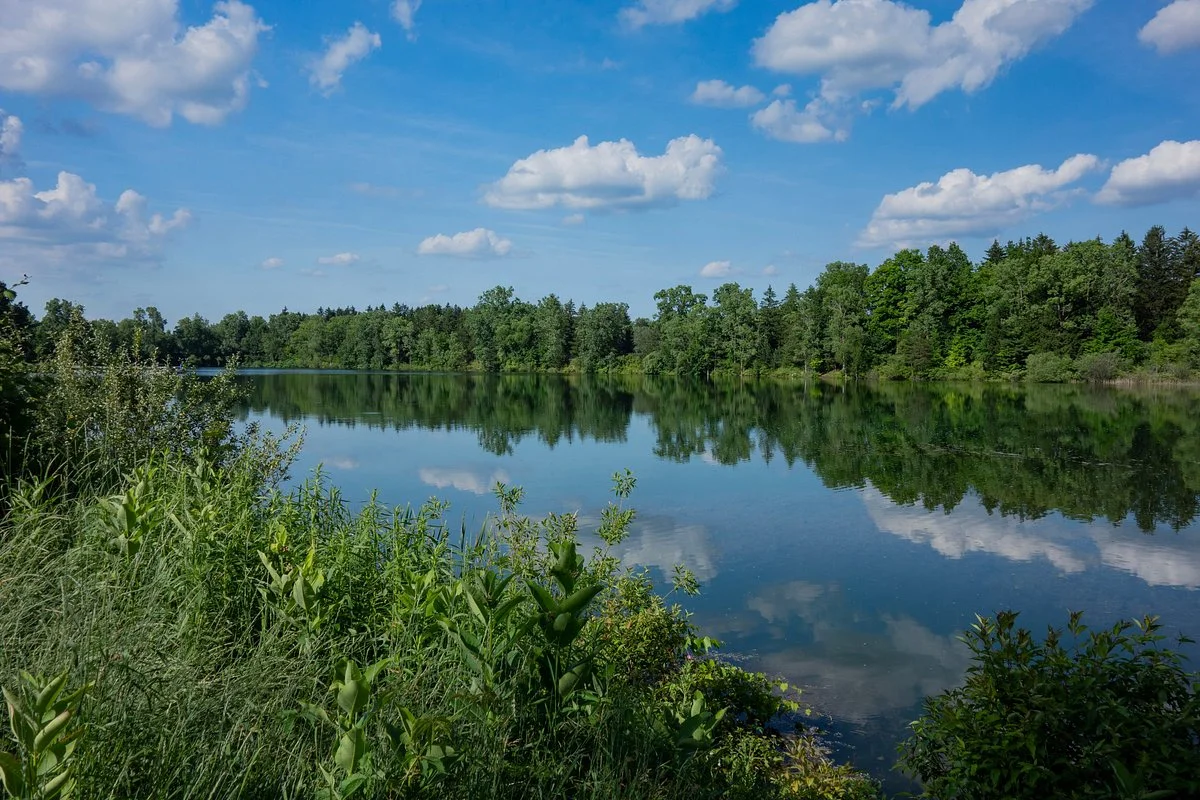 Ralph W. Crego Park