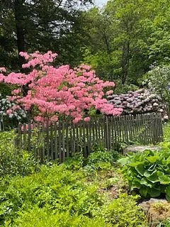 McLaughlin Gardens