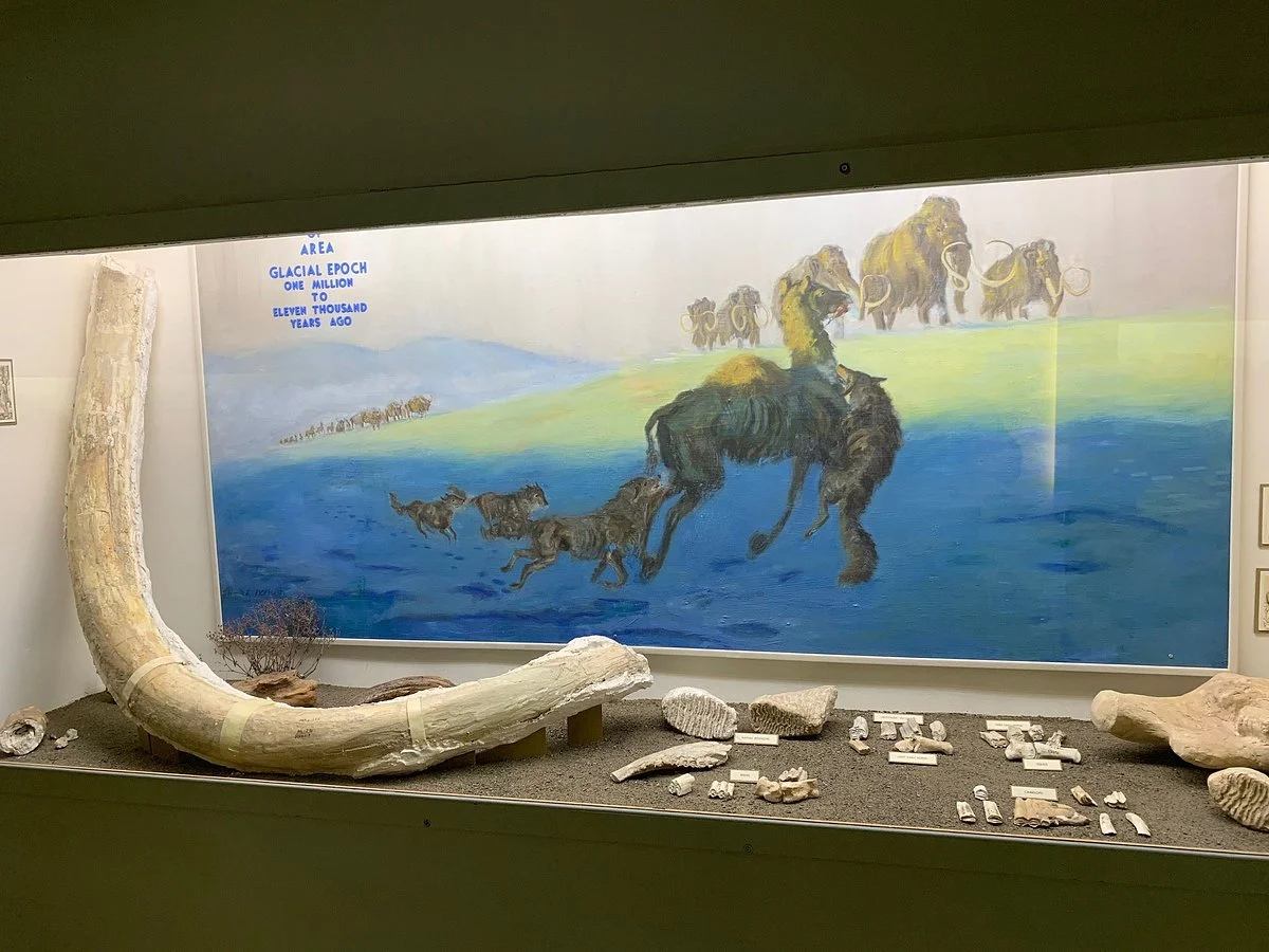 Louden-Henritze Archaeology Museum