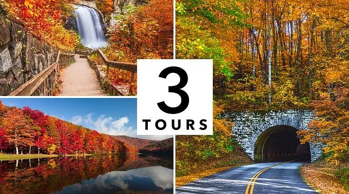 Spruce Pine Gallery
