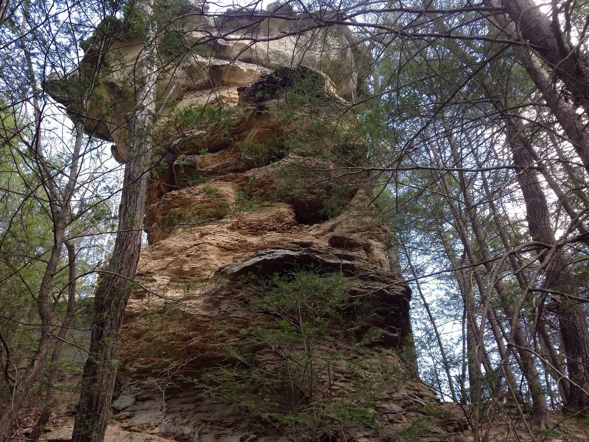 Little Creek Park