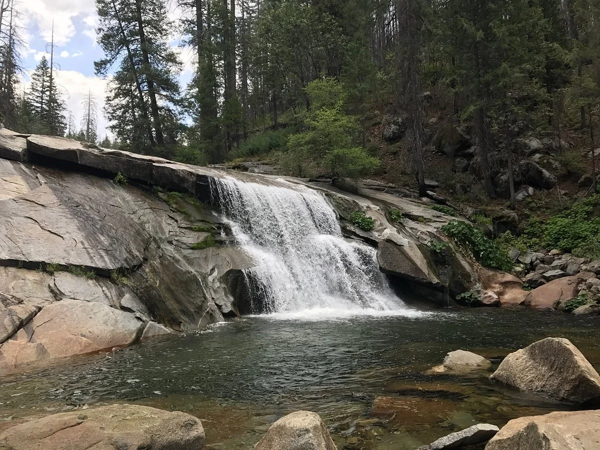 Stanislaus National Forest