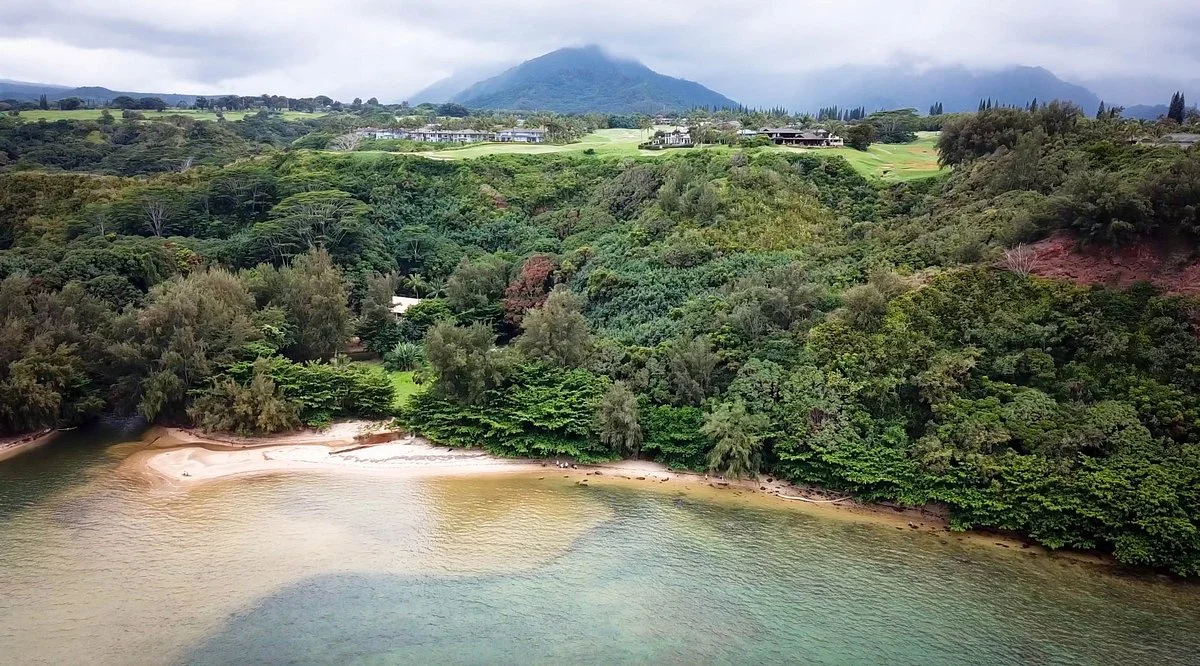 Wyllie's Beach