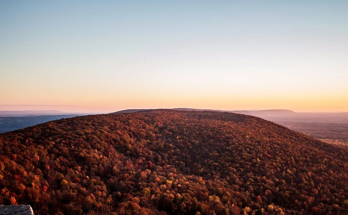 Bake Oven Knob