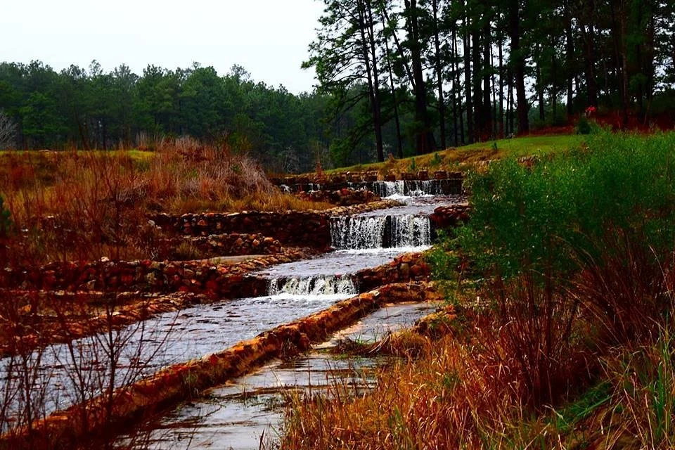 Boykin Springs at Angelina National Forest