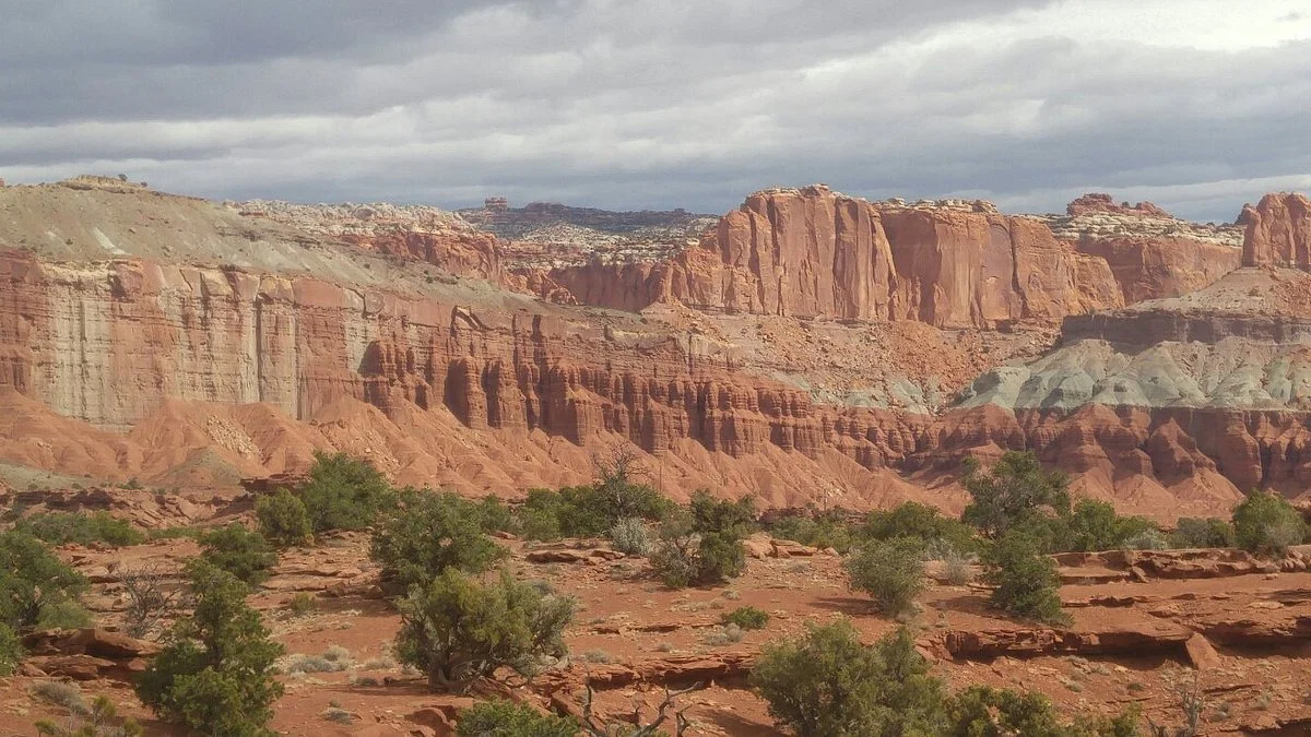Velvet Ridge