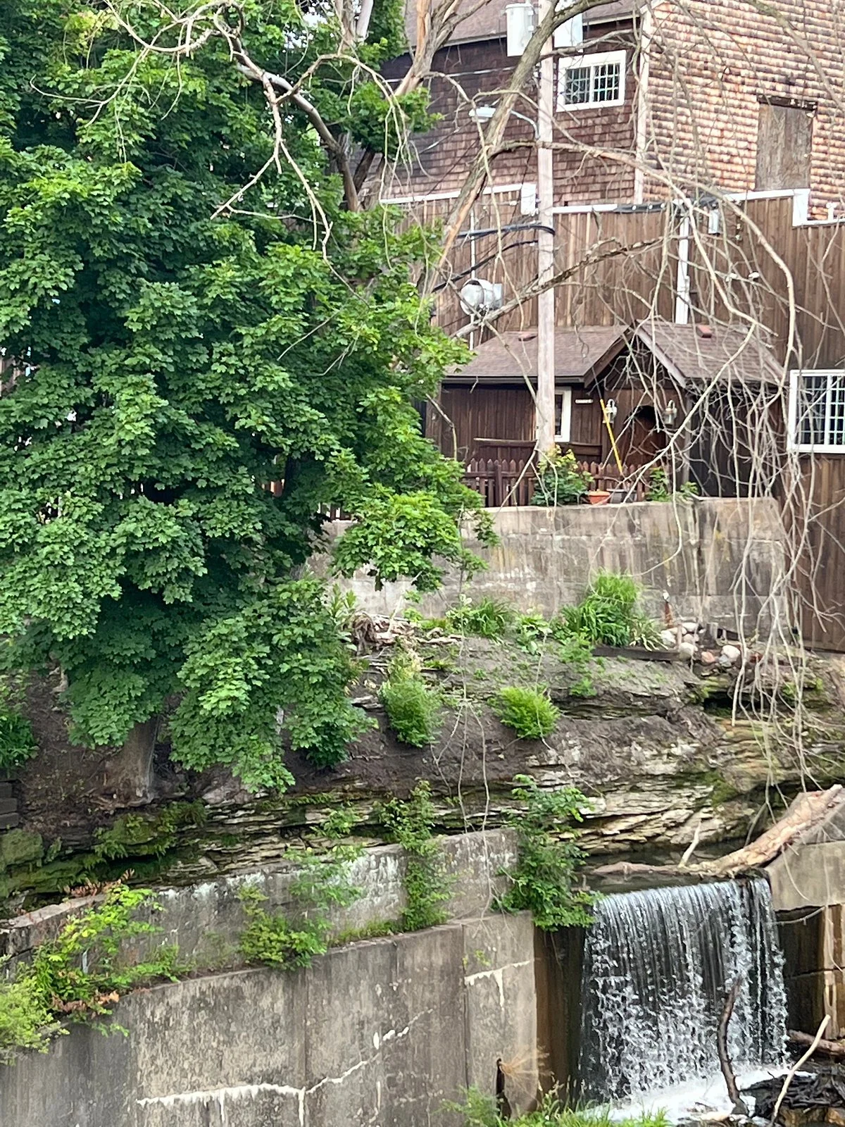 Eagle Creek Nature Preserve