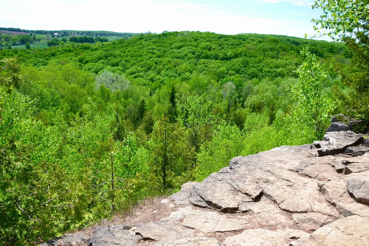 Nottawasaga Bluffs Conservation Area