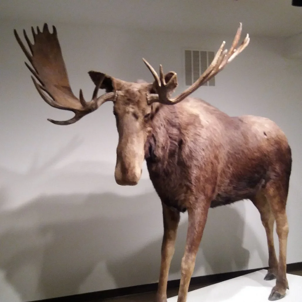 Kamloops Museum and Archives