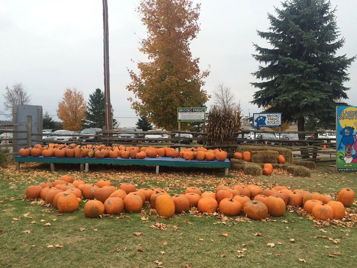 Brooks Farms