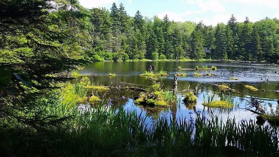 Woodford State Park